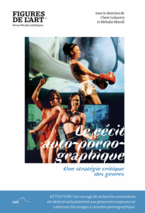 La couverture est un montage photographique réunissant deux spectacles : le premier 