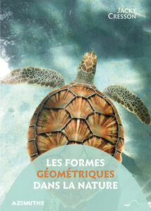 Couverture avec une torture de mer dans l'haut, vue de haut