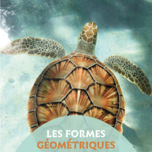 Couverture avec une torture de mer dans l'haut, vue de haut