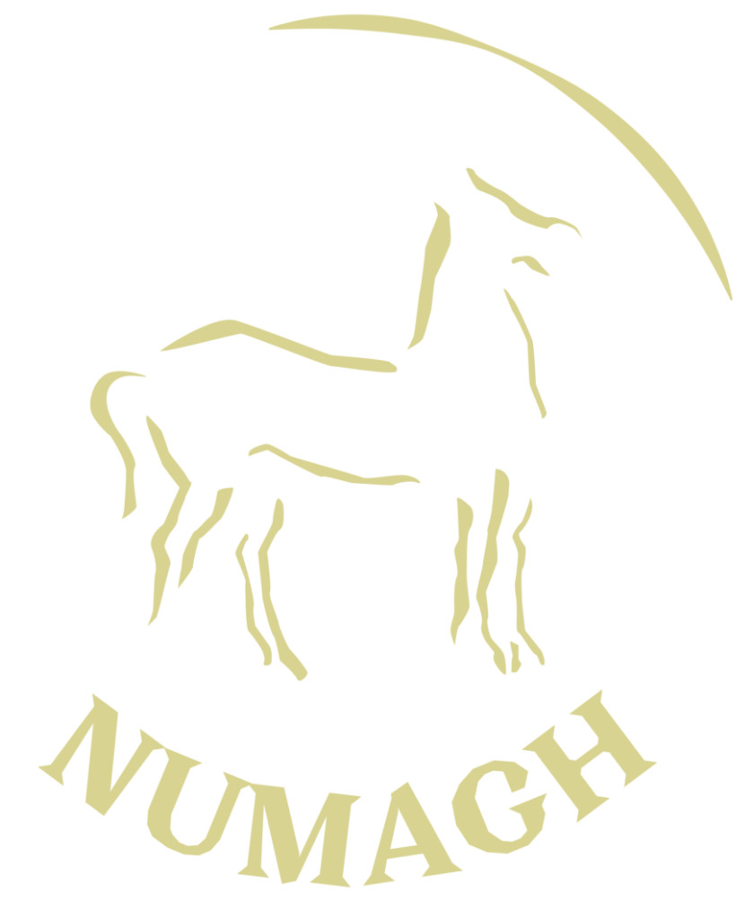 Journal numismatique du Maghreb