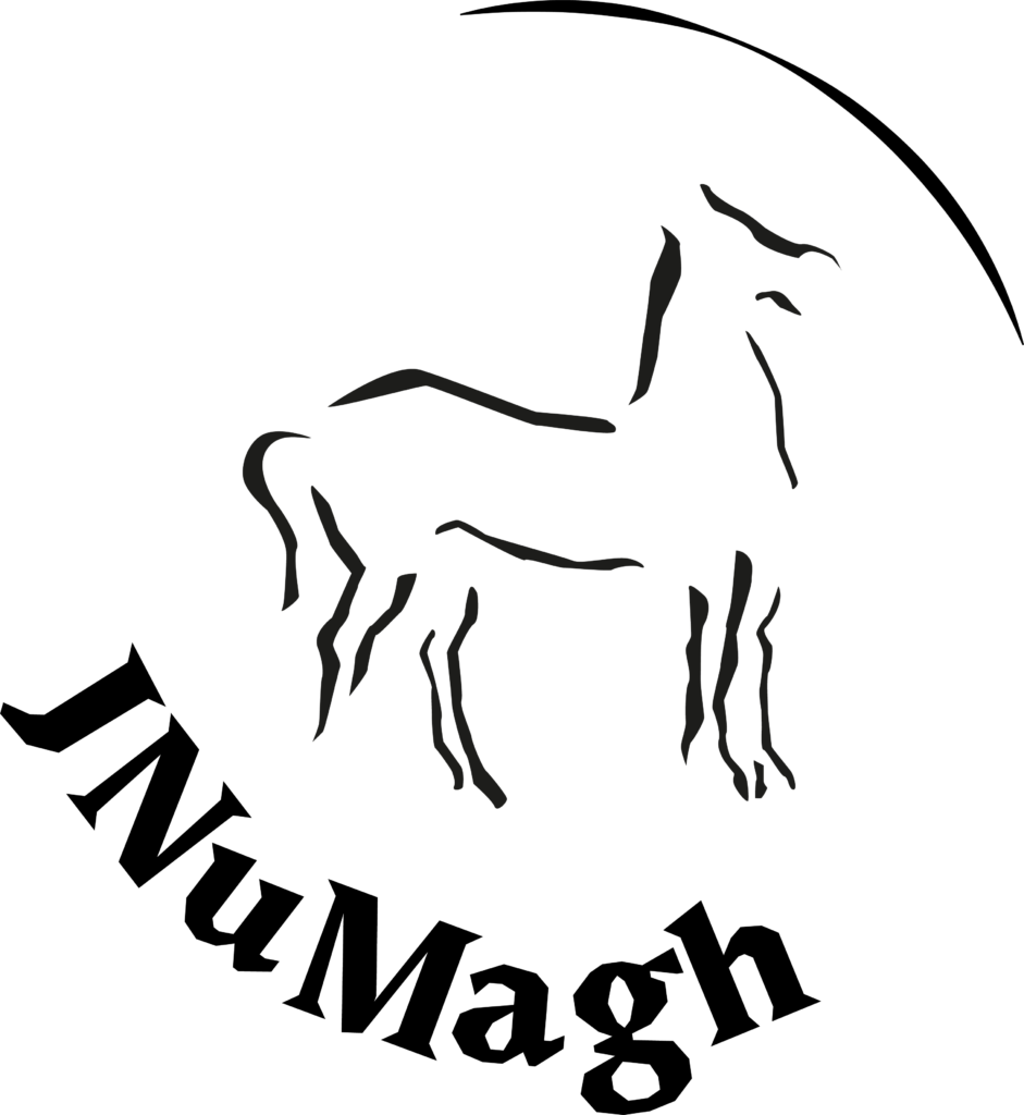 logo de la revue JNumagh représentant les contours d'un cheval